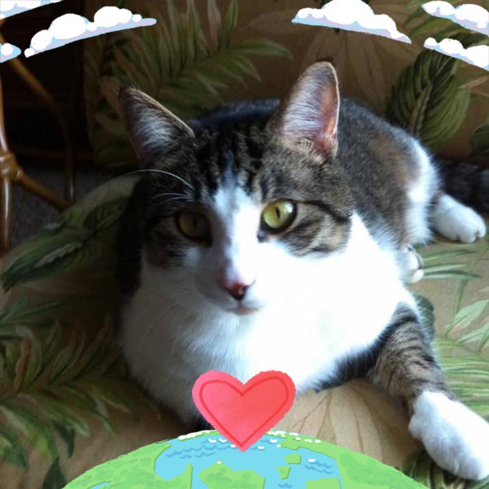 Meet your Posher, Colleen